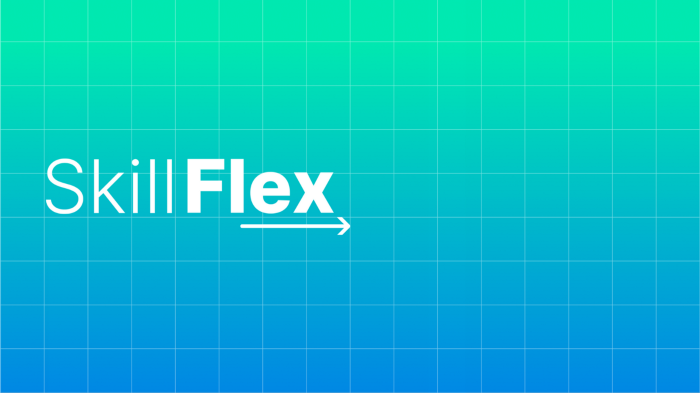What is Skill Flex®?